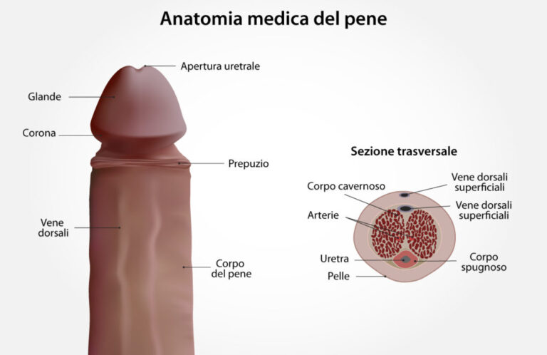 I disturbi dell’eiaculazione e dell’orgasmo