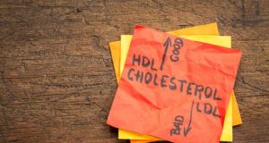 Colesterolo LDL e HDL: un grasso indispensabile e non sempre “buono”