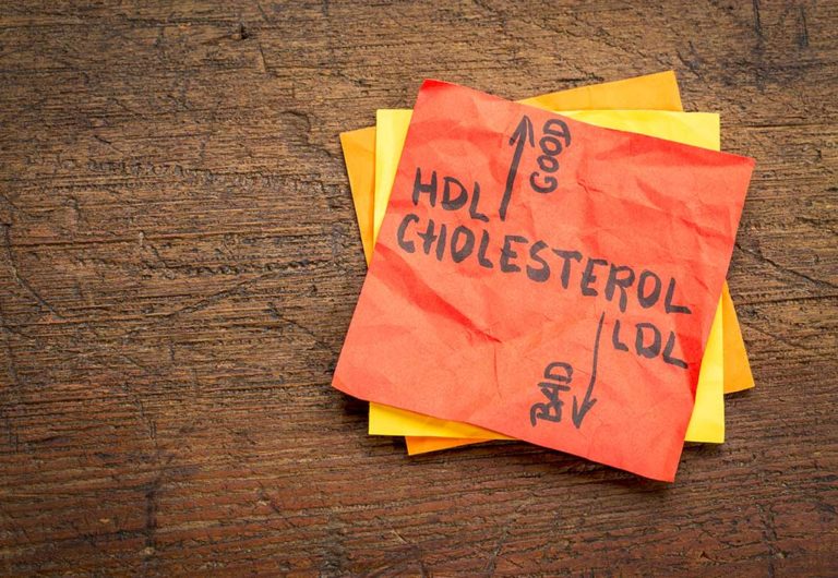 Colesterolo LDL e HDL: un grasso indispensabile e non sempre “buono”