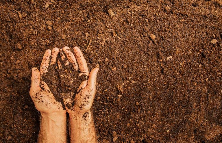 Fattori di rischio per la fertilità maschile