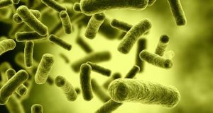 Helicobacter Pylori e ipotiroidismo: ce ne parla il Prof. Vaira Dino