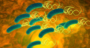 Helicobacter: a rischio la terapia dell’ipotiroidismo