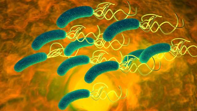 helicobacter_rischioterapiaipotiroidismo_115653769